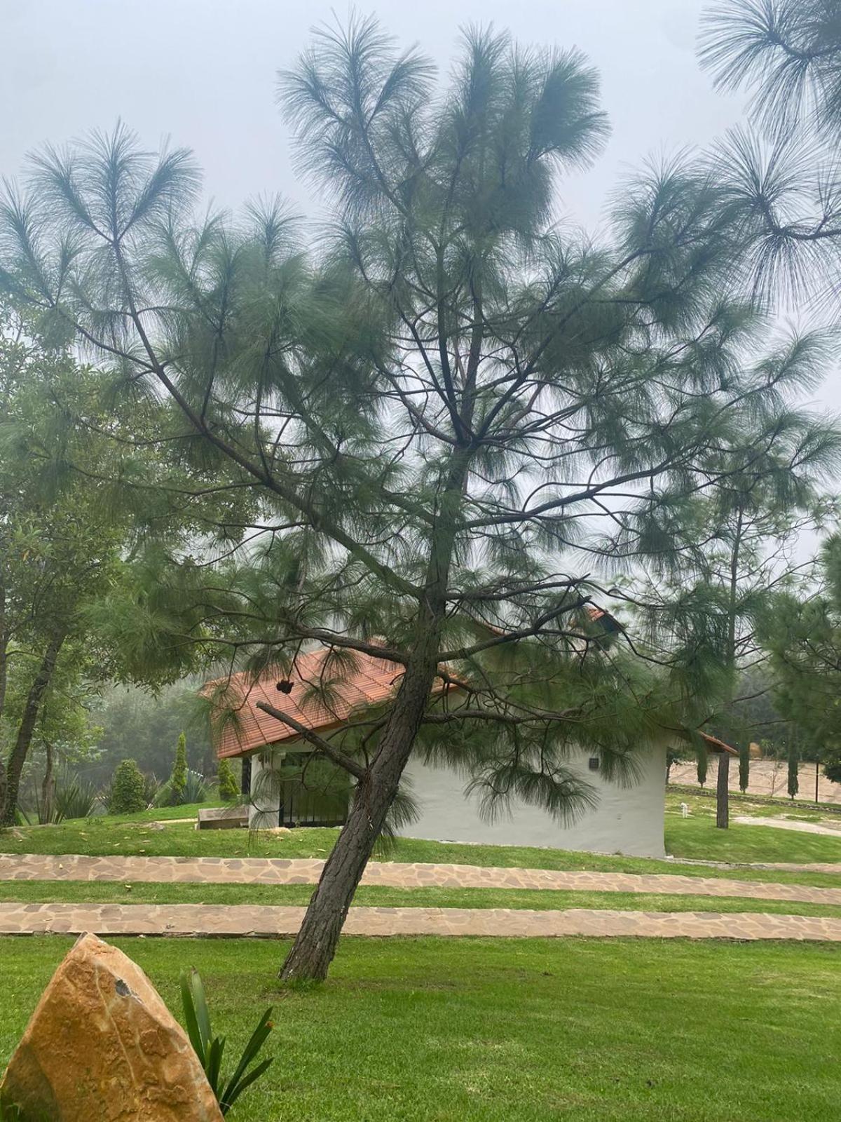 מסמיטלה Cabanas Santorito מראה חיצוני תמונה